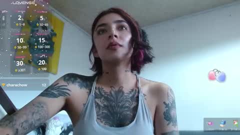 Snapshot of _zoebakers chatting on 10-04-25, 09:57 Zoe online show from 10-04-25, 09:57