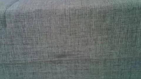 XXL online show from 03-08-25, 09:39