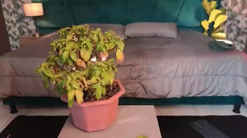 Aaron Ezequiel online show from 01-31-26, 08:51