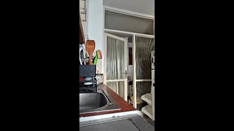 Snapshot of abbel_stone chatting on 03-15-26, 03:51 abbel_stone online show from 03-15-26, 03:51