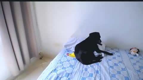 Abby online show from 02-08-26, 06:00