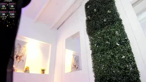 Abby  online show from 02-11-25, 06:51