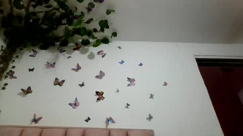 abby_moss_2 online show from 06-20-26, 10:45