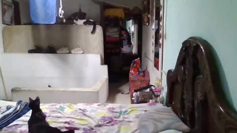 Abby online show from 01-26-25, 11:50