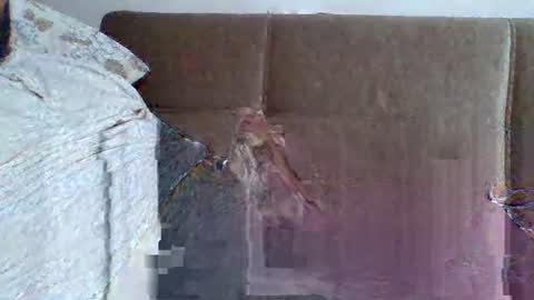 abdil_34 online show from 02-05-25, 09:18