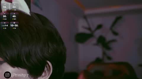 April  online show from 12-20-25, 10:06