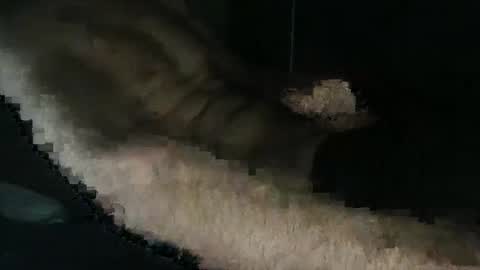 Snapshot of acid_lab chatting on 12-16-24, 02:27 acid_lab online show from 12-16-24, 02:27