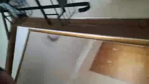 Snapshot of adamlucas54321s773712 chatting on 10-08-25, 01:36 adamlucas54321s773712 online show from 10-08-25, 01:36