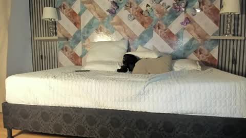 addison_avery online show from 07-20-26, 03:21