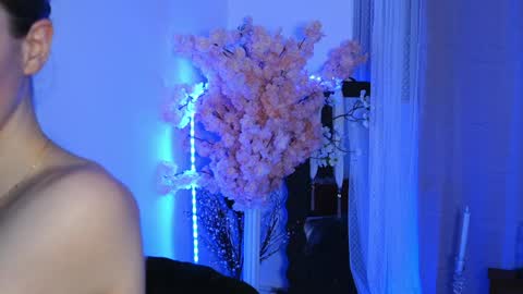 Snapshot of aelia_anara chatting on 03-29-26, 05:24 Aelia online show from 03-29-26, 05:24