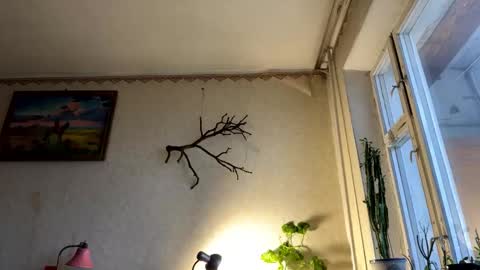 vegans taste better online show from 10-07-25, 05:37