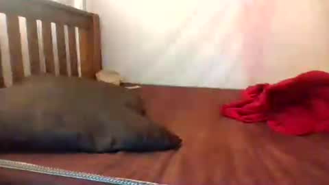 i wish to be someones real princess online show from 07-21-26, 05:43