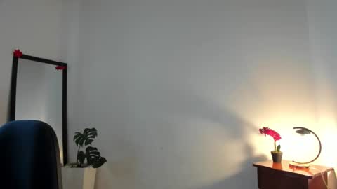 Snapshot of afrodita3123 chatting on 12-01-25, 01:27 Lorena online show from 12-01-25, 01:27