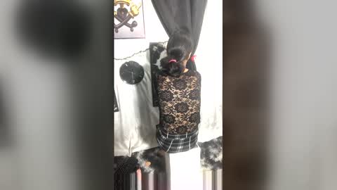 afroluz online show from 04-27-26, 02:20