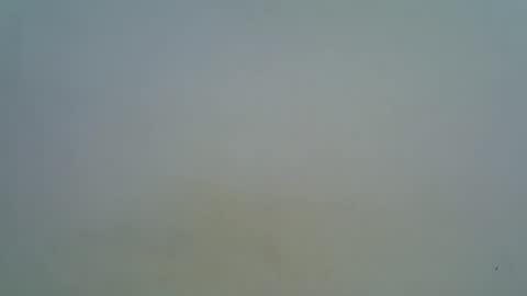 afronubians online show from 03-05-25, 09:16