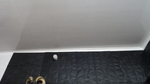  Miss Agata  online show from 12-11-24, 02:54