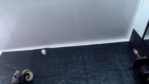  Miss Agata  online show from 05-13-26, 02:03