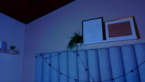  Alaia  online show from 01-17-26, 11:37