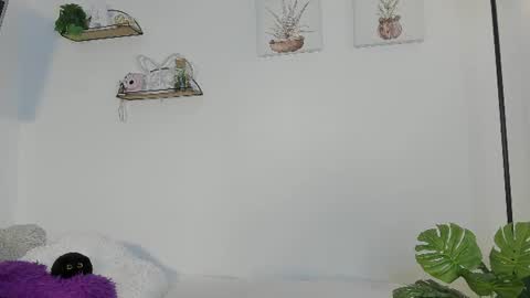   online show from 06-24-26, 10:47