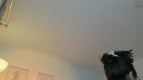   online show from 07-14-26, 10:43