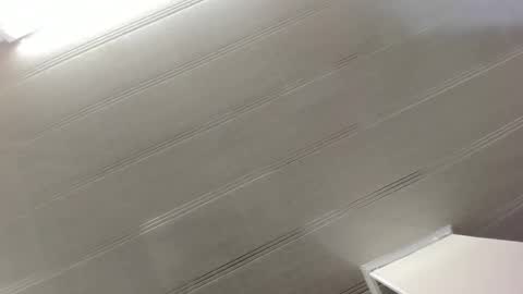 Maeve  online show from 12-29-24, 10:45