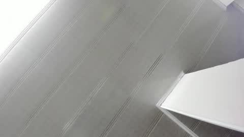 Maeve  online show from 01-21-25, 10:52