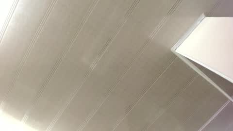 Maeve  online show from 02-12-25, 10:35