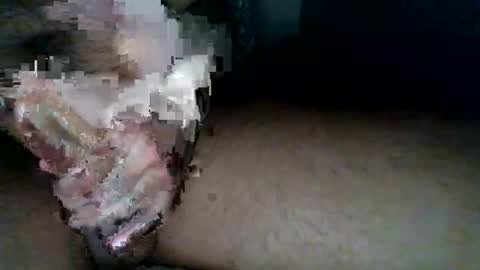 Snapshot of aldous_fuxley chatting on 02-20-26, 06:48 aldous_fuxley online show from 02-20-26, 06:48