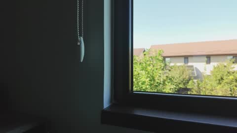 Alecssalove online show from 09-16-25, 12:28