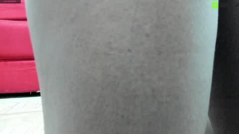 Snapshot of alejandra_dunn chatting on 01-13-25, 01:39 Alejandra online show from 01-13-25, 01:39