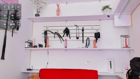 Snapshot of alejandra_dunn chatting on 02-02-25, 01:08 Alejandra online show from 02-02-25, 01:08