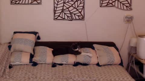 Snapshot of alessandra_foxy chatting on 02-25-25, 08:09 Sandra online show from 02-25-25, 08:09