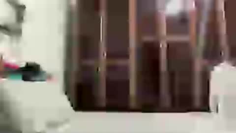 Snapshot of alessandromori91 chatting on 06-15-26, 12:13 alessandromori91 online show from 06-15-26, 12:13