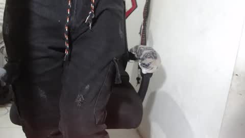 Snapshot of alexamdergal chatting on 03-12-26, 12:17 Alexamdergal online show from 03-12-26, 12:17