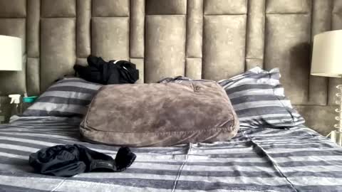 alexander grey online show from 01-09-25, 03:55