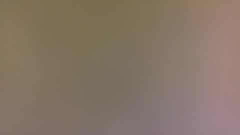 Snapshot of alexfan141 chatting on 10-31-25, 04:41 alexfan141 online show from 10-31-25, 04:41