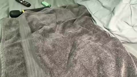 Alexis online show from 12-13-24, 11:34