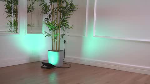 alexxiskye online show from 01-06-26, 06:28