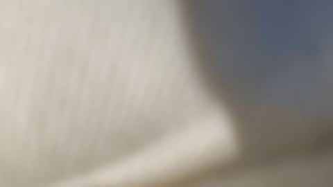 Snapshot of alexxxx1122 chatting on 05-19-26, 06:14 Tooti00 online show from 05-19-26, 06:14
