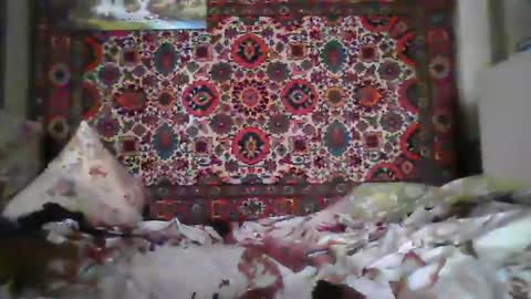 Snapshot of alferezsolvajo chatting on 07-22-26, 07:11 alferezsolvajo online show from 07-22-26, 07:11