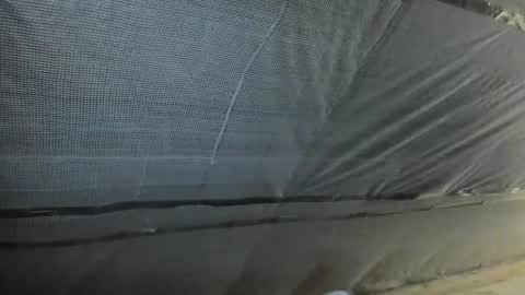 alfiesolomons87 online show from 10-02-25, 12:12