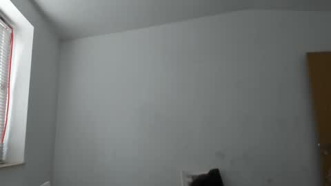 alfiesolomons87 online show from 11-14-25, 09:41