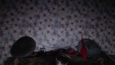 alice longstocking online show from 02-07-26, 03:38