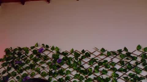 alice_rous21 online show from 10-23-25, 01:54