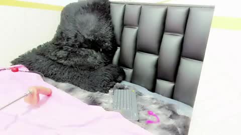 alicee online show from 05-12-26, 09:45