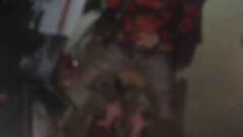 aliceleemcgee online show from 02-22-26, 10:36