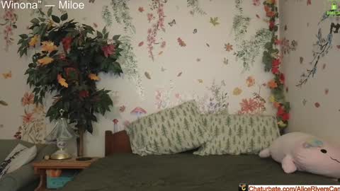 Snapshot of aliceriverscam chatting on 12-17-24, 09:16 Alice Rivers ---- Enter my public Discord- online show from 12-17-24, 09:16