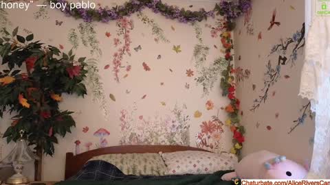 Snapshot of aliceriverscam chatting on 01-04-25, 07:44 Alice Rivers ---- Enter my public Discord- online show from 01-04-25, 07:44