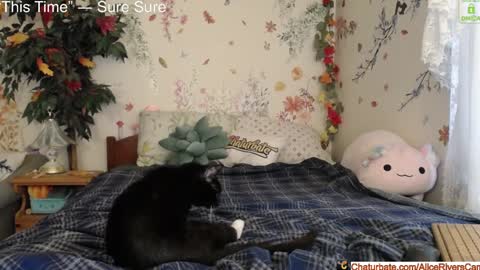 Snapshot of aliceriverscam chatting on 01-18-25, 08:40 Alice Rivers ---- Enter my public Discord- online show from 01-18-25, 08:40