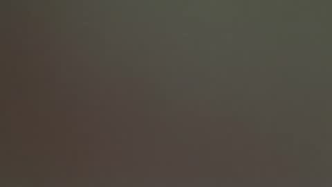 Snapshot of aliencowgirl444 chatting on 03-14-26, 06:08 spaceprincess online show from 03-14-26, 06:08